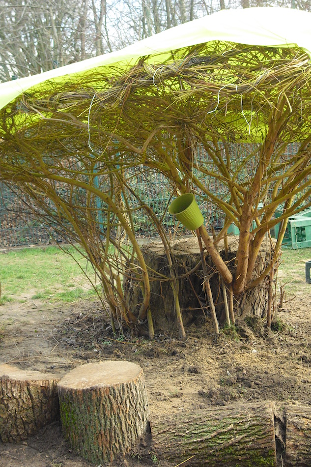 Spielplatz unter Trauerweide im Caritas-Centrum Göttingen. Foto: Caritas