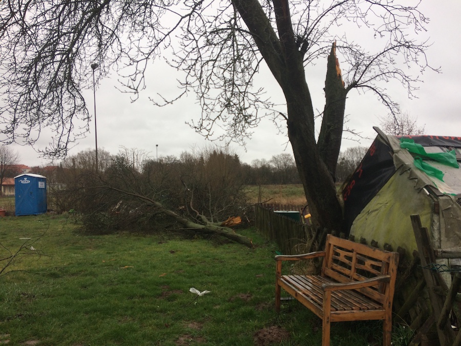 Sturmschäden im Internationalen Garten Talwiese in Duderstadt. Foto: Caritas