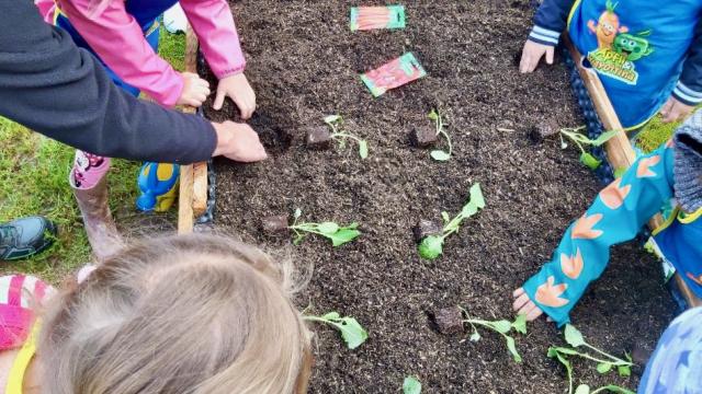 Kinder der KiTa für Alle im Inklusiven Campus Duderstadt lernen, wie Gemüse angebaut wird.