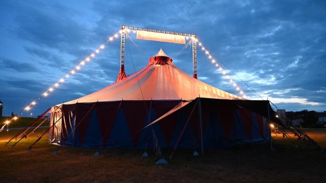Foto: Zirkus Dobbelino