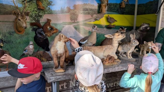 Das Bild zeigt eine kleinere Gruppe von Kindern die sich die Tiere anschauen
