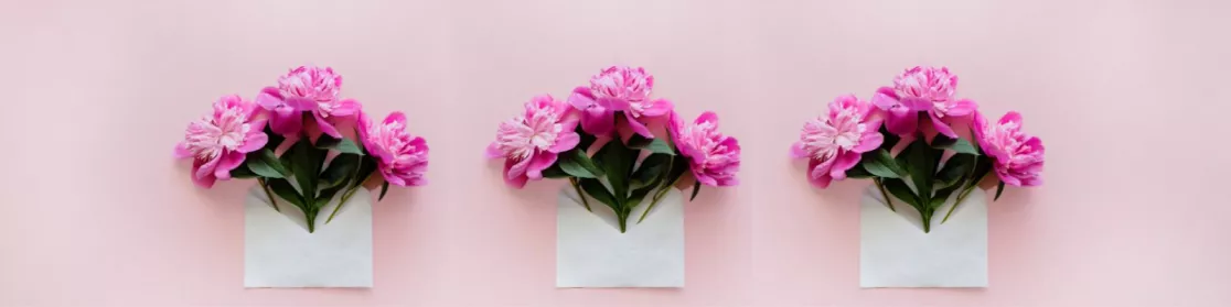 Newsletter-Anmeldung